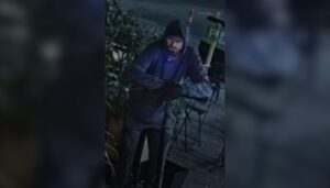 Rocks Thrown at Four Businesses in Oakville