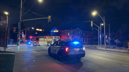 Driver Sought After Woman Hit by Car in Toronto Driver Sought After Woman Hit by Car in Toronto