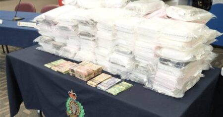 Major Cocaine Bust in Ontario Nets .5M Major Cocaine Bust in Ontario Nets .5M
