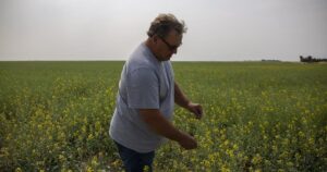 Todd Lewis, 65, Remembered as a Senator and Farmer