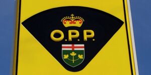 Officer in Southern Georgian Bay Charged with Multiple Offenses