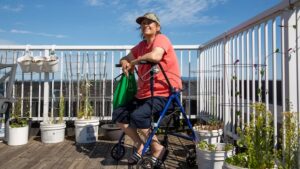 Health Unit Files Lawsuit Against Apartment Owner in Thunder Bay Health Unit Files Lawsuit Against Apartment Owner in Thunder Bay