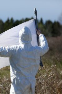 Rising Tick Threats Affecting People in Ontario Rising Tick Threats Affecting People in Ontario