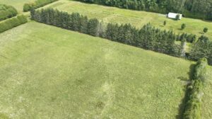 Tornado Strikes Near Kemptville Last Sunday