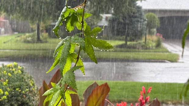 Tornado Alerts for St. Catharines and Niagara Falls Rescinded Tornado Alerts for St. Catharines and Niagara Falls Rescinded