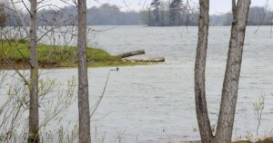 Rescue Operation at Binbrook Conservation Area