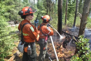 Rain Brings Hope in Northwestern Ontario Fire Battle