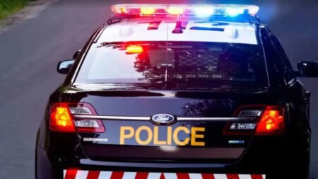 Brampton Hit-and-Run Leaves Woman in Critical Condition
