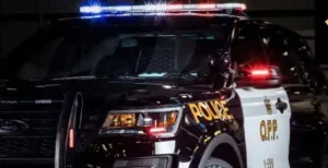 Tragic Crash Claims Woman’s Life on QEW
