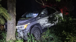 Young driver impaired by alcohol, drugs crashes into tree: OPP