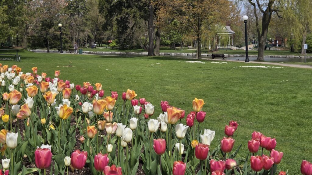 Victoria Park