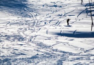 Canadians Opting Out of US Travel Amid Tensions