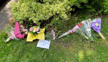 Teen Apologizes for Stabbing Elderly Woman in Pickering