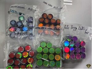 Major Bust Uncovers 6K Cannabis Operation in Windsor