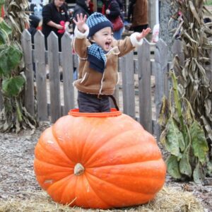 Exciting Fall Festivals in Toronto and the Greater Area