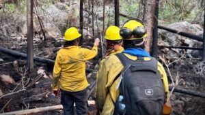 Update on Forest Fires in Northwestern Ontario