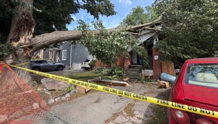 Storm Cleanup Efforts Underway in Golden Horseshoe Storm Cleanup Efforts Underway in Golden Horseshoe