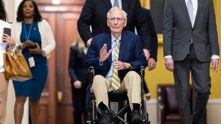 McConnell seen at Senate vote after legthy hospitalization McConnell seen at Senate vote after legthy hospitalization