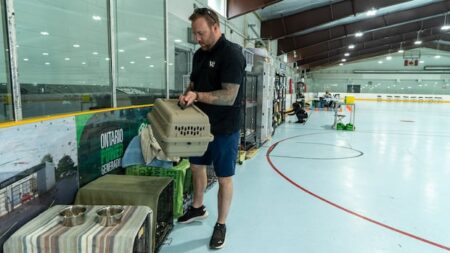 New vet team to provide pet care during future evacuations and emergencies in northwestern Ontario