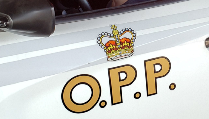 Investigation Launched After Remains Discovered in Tillsonburg Investigation Launched After Remains Discovered in Tillsonburg