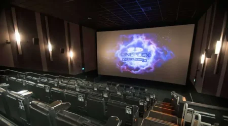 Canadian Film Buff Watches Over 550 Movies