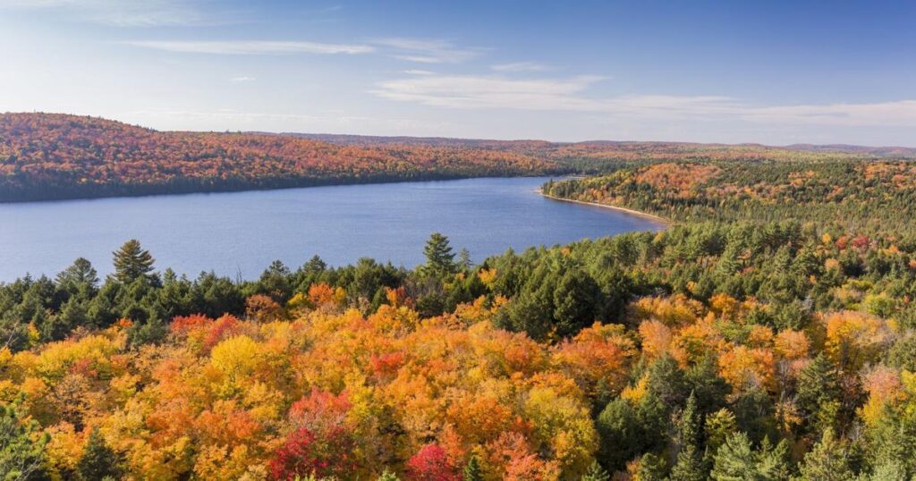 When to See Fall Foliage in Ontario 2026 When to See Fall Foliage in Ontario 2026