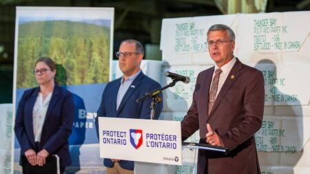 Ontario Invests .5 Million in Local Forestry Projects Ontario Invests .5 Million in Local Forestry Projects