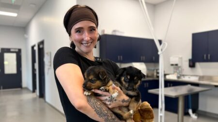 Animals from Ontario Wildfires Seek New Homes Animals from Ontario Wildfires Seek New Homes