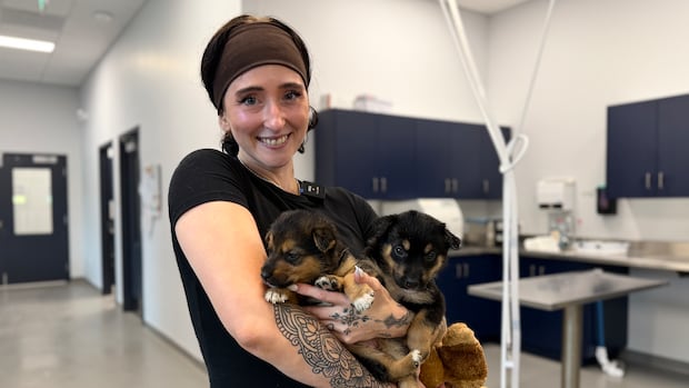 Animals from Ontario Wildfires Seek New Homes Animals from Ontario Wildfires Seek New Homes