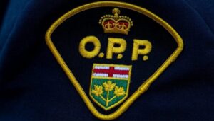 Pilot Injured in Plane Crash Near Barrie, Ontario Pilot Injured in Plane Crash Near Barrie, Ontario