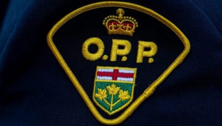 Pilot Injured in Plane Crash Near Barrie, Ontario Pilot Injured in Plane Crash Near Barrie, Ontario