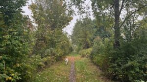 Local Landowners Concerned About Trail Expansion Plans Local Landowners Concerned About Trail Expansion Plans