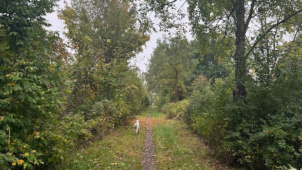 Local Landowners Concerned About Trail Expansion Plans Local Landowners Concerned About Trail Expansion Plans