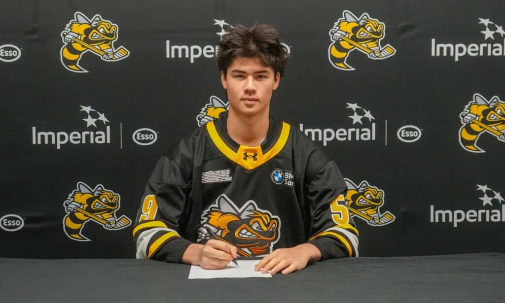 Sarnia Sting Bolsters Goalie Roster Before OHL Season Sarnia Sting Bolsters Goalie Roster Before OHL Season