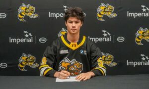 Sarnia Sting Bolsters Goalie Roster Before OHL Season