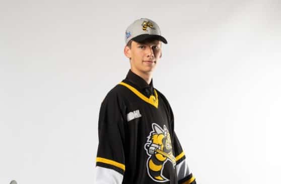 Sarnia Sting Adds Brody Brown to Their Roster Sarnia Sting Adds Brody Brown to Their Roster