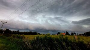 Severe Weather Causes Damage in Southern Ontario Severe Weather Causes Damage in Southern Ontario