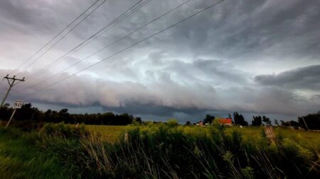 Severe Weather Causes Damage in Southern Ontario Severe Weather Causes Damage in Southern Ontario