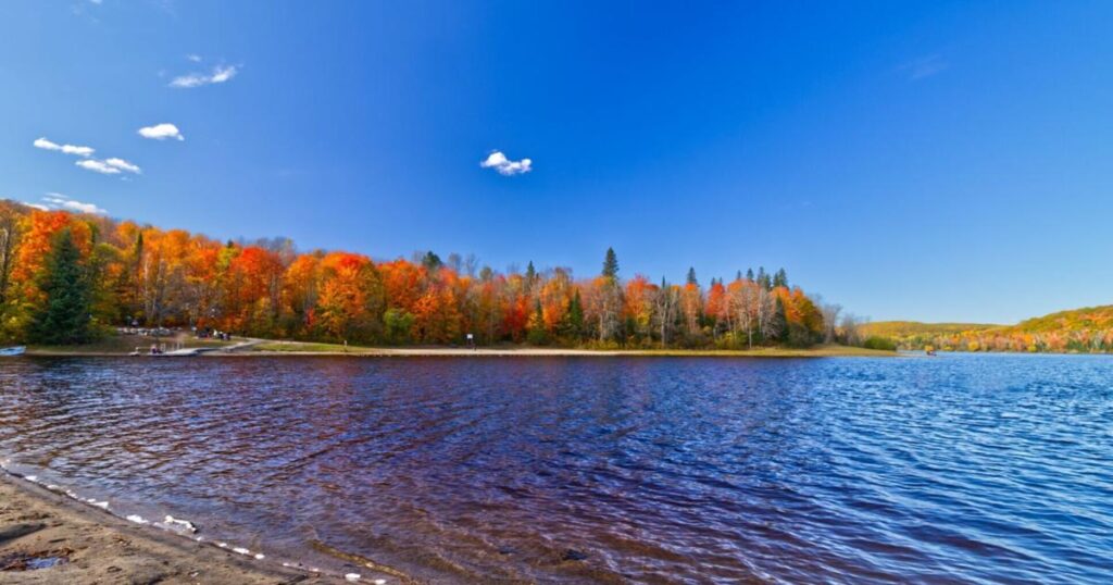 Exploring Ontario Parks’ Autumn Color Changes Exploring Ontario Parks’ Autumn Color Changes