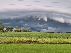 Severe Storm Causes Power Outages and Tree Damage in Stratford