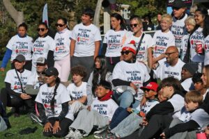 Barrie’s Kidney Walk Kicks Off Next Month