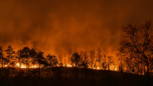 UN University: Ontario Wildfire Smoke in Mid-July Exposed North Americans to Unhealthy Air for 106 Million Person-Days in Just Three Days