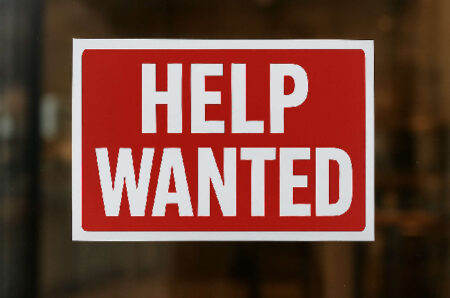 Steady Employment Rates in Kingston and Beyond Steady Employment Rates in Kingston and Beyond