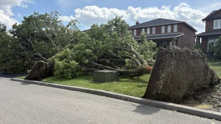 Severe Storm Causes Damage in Vaughan, Cleanup Underway