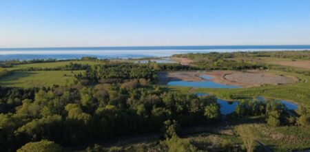 Wetland Revitalization at Lynde Shores Conservation Area Wetland Revitalization at Lynde Shores Conservation Area