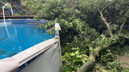 Severe Weather Hits Windsor; Cleanup Efforts Underway