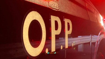 Fatal Crash on Highway 403 Claims a Life Fatal Crash on Highway 403 Claims a Life