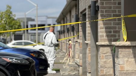 Fatal Incident Leads to Murder Charge in London