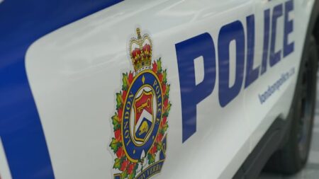 Early Morning Stabbing in South London Home