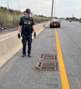 Raccoon Rescued from Highway Drain Raccoon Rescued from Highway Drain